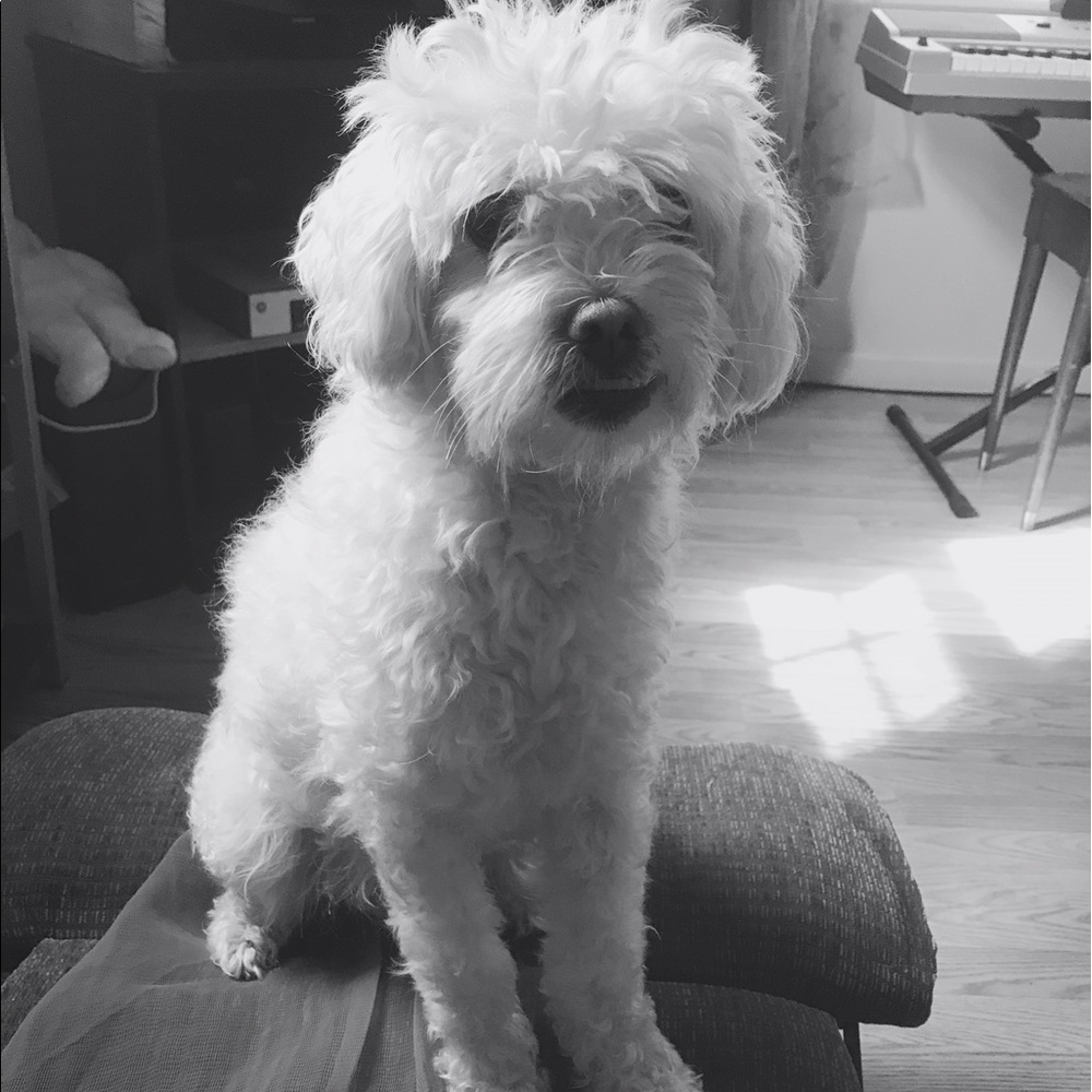Meet your Posher, Jean