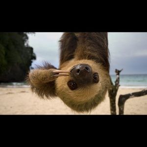 Meet your Posher, Sam