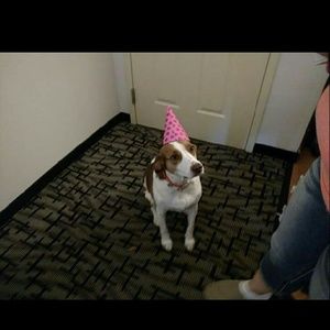 Meet your Posher, Collin