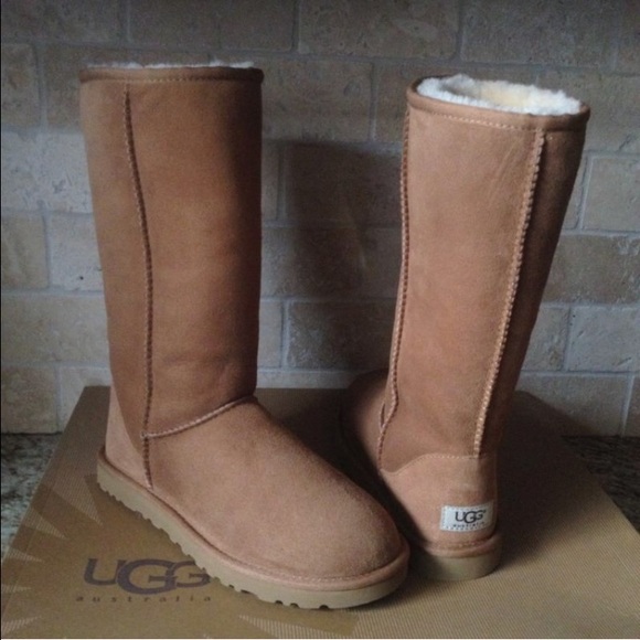 Brand new in box chestnut ugg