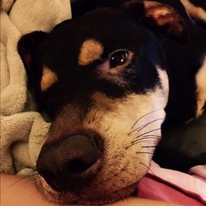 Meet your Posher, Ashlee