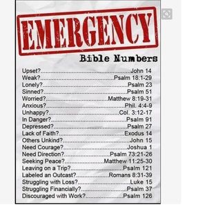 Go to the Answer Book- The Bible!