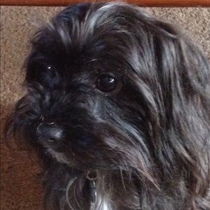 Meet your Posher, Barb