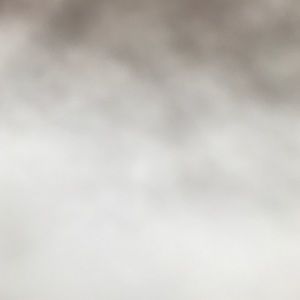 Meet your Posher, Deanna