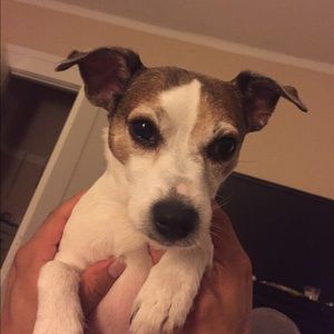 Meet your Posher, Keri