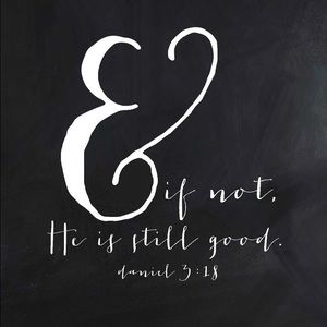 Meet your Posher, Lexia