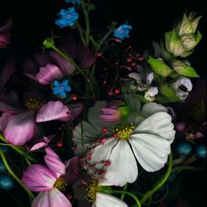 Meet your Posher, Carmen