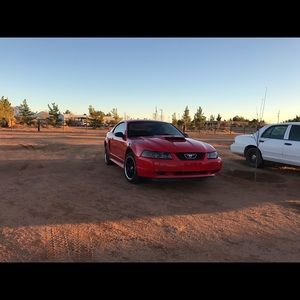 Meet your Posher, Erick