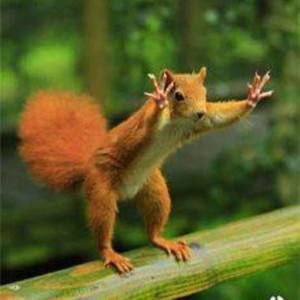 Meet your Posher, Marie