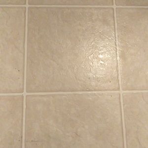 Meet your Posher, Pasha