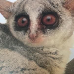 Meet your Posher, Johnny