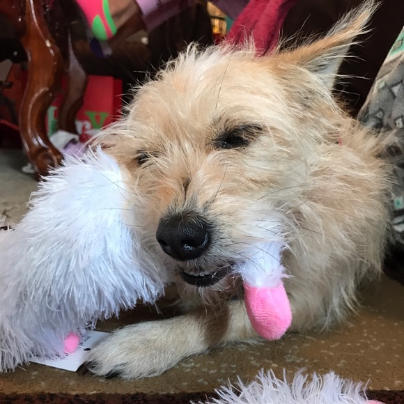 Meet your Posher, Diana