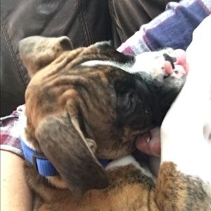 Meet your Posher, Suzanne