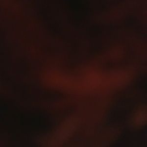 Meet your Posher, Callie