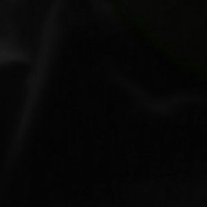 Meet your Posher, Terry