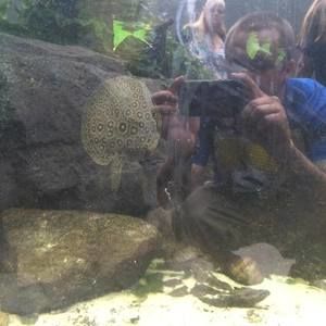 Meet your Posher, Jbird