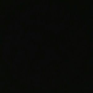 Meet your Posher, Todd