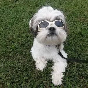 Meet your Posher, Sharon