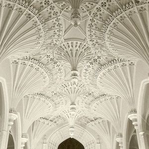 Meet your Posher, Danyelle