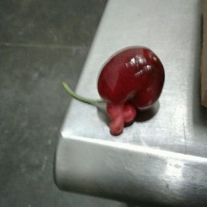 Meet your Posher, Ricardo