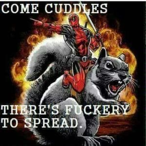 Meet your Posher, Griffin