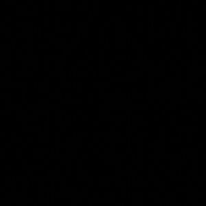 Meet your Posher, Bernice