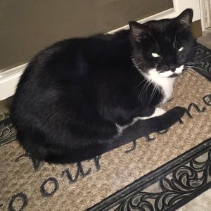 Meet your Posher, Jodi