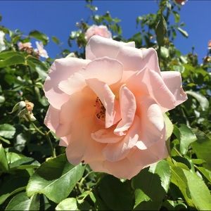 Meet your Posher, Savannah