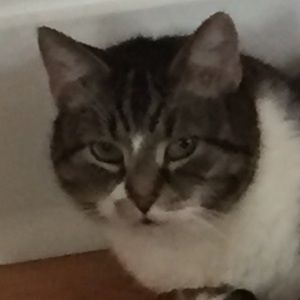 Meet your Posher, Ella