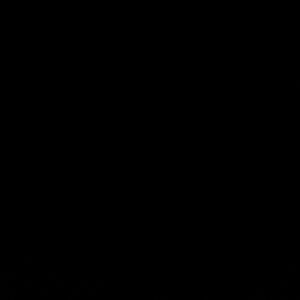 Meet your Posher, Emilio