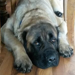 Meet your Posher, Marie