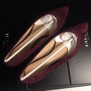 Coach flats 6.5