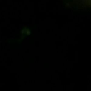 Meet your Posher, Aloa