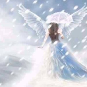 Meet your Posher, Frances