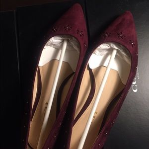 Coach Flats 7