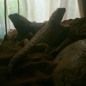 Meet your Posher, Ken