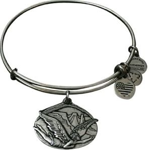 🏴ALEX AND ANI🏴