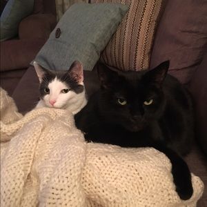 Meet your Posher, Becky