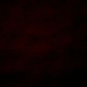 Meet your Posher, Isabel