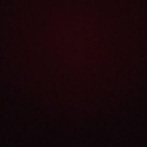 Meet your Posher, Remi