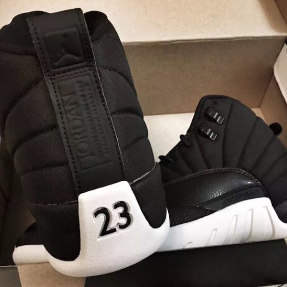 Jordan 12 nylon .