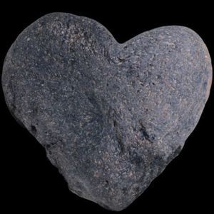 Meet your Posher, Ronda