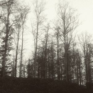 Meet your Posher, Kristin