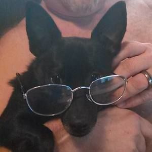 Meet your Posher, Joyce