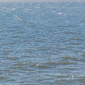 Meet your Posher, Lilly