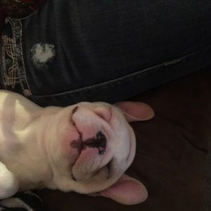 Meet your Posher, Catrina