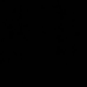 Meet your Posher, Noel