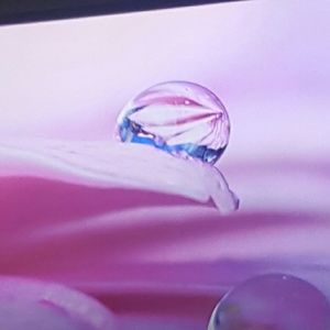 Meet your Posher, Gazelle