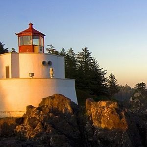 Meet your Posher, Shane