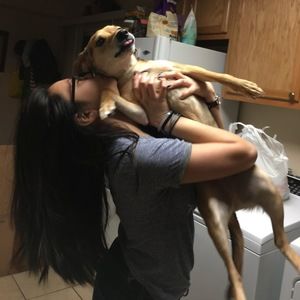 Meet your Posher, Maria patricia